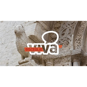 Bisceglieviva.it